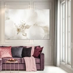 Outlet 🧨 Silver Orchid 'Orchid Love' Floral And Botanical Wall Art Canvas Print ✔️