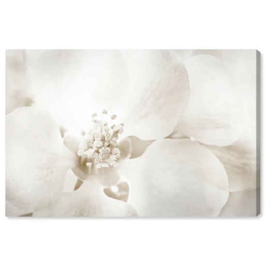 Outlet 🧨 Silver Orchid 'Orchid Love' Floral And Botanical Wall Art Canvas Print ✔️ - Image 2