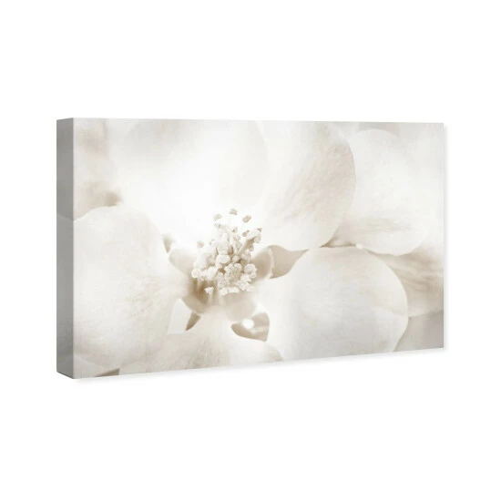 Outlet 🧨 Silver Orchid 'Orchid Love' Floral And Botanical Wall Art Canvas Print ✔️ - Image 3
