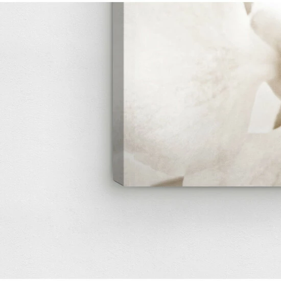 Outlet 🧨 Silver Orchid 'Orchid Love' Floral And Botanical Wall Art Canvas Print ✔️ - Image 4