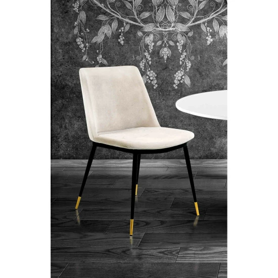 Brand new đ Silver Orchid Fein Cream Velvet Dining Chair (Set Of 2) đŻ