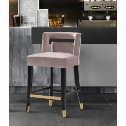 Top 10 ⌛ Silver Orchid Beavers Velvet Armless Low Back Counter Stool Chair 🛒