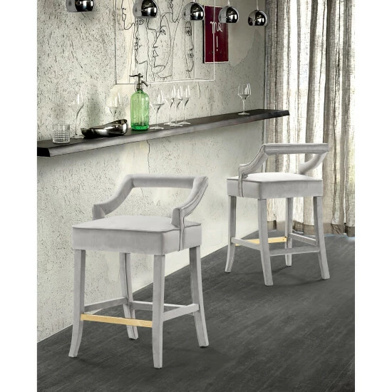Best Pirce â Silver Orchid Beavers Velvet Upholstered Counter Stool Chair Grey đ - Image 3