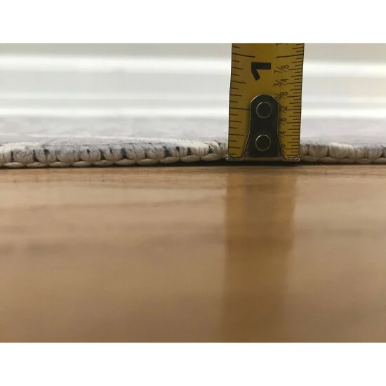 Coupon ๐ Silver Orchid Pointner Light Leopard Area Rug N/a ๐คฉ - Image 5