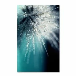 Cheap ✨ Silver Orchid Crain Beata Czyzowska Young 'Morning Sonata' Canvas Art 🛒