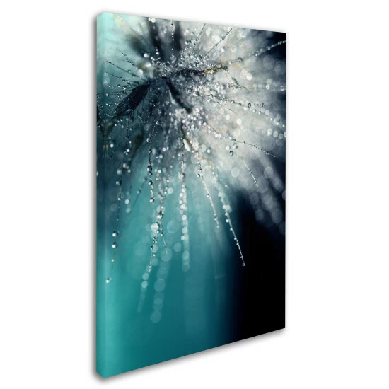 Cheap ⨠Silver Orchid Crain Beata Czyzowska Young 'Morning Sonata' Canvas Art đ - Image 2