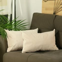 Promo 👍 Silver Orchid Pickford Velvet Light Beige Decorative Throw Pillow Cover 👏