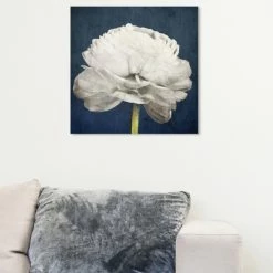 Best reviews of 🔔 Silver Orchid 'Pretty View' Wall Art Canvas Print ✔️