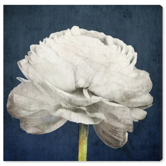 Best reviews of ๐ Silver Orchid 'Pretty View' Wall Art Canvas Print โ๏ธ - Image 2