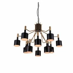 Best reviews of 🎉 Silver Orchid Togo Matte Black 12-light Chandelier 😉