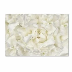 Cheapest 💯 Silver Orchid Crain Cora Niele 'White Peony Flower' Canvas Art ❤️