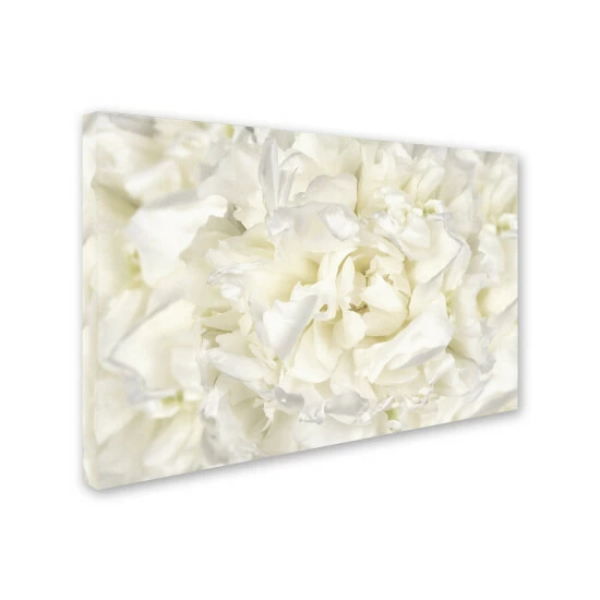 Cheapest đŻ Silver Orchid Crain Cora Niele 'White Peony Flower' Canvas Art â¤ď¸ 4 Cheapest đŻ Silver Orchid Crain Cora Niele 'White Peony Flower' Canvas Art â¤ď¸ - Image 2