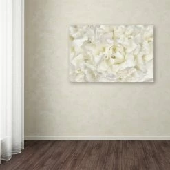 Cheapest đŻ Silver Orchid Crain Cora Niele 'White Peony Flower' Canvas Art â¤ď¸ 7 Cheapest đŻ Silver Orchid Crain Cora Niele 'White Peony Flower' Canvas Art â¤ď¸ -Silver Orchid Shop unnamed file 4843
