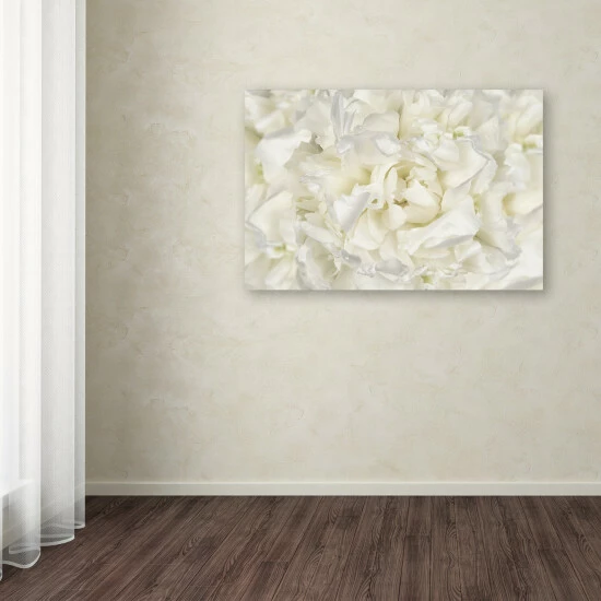 Cheapest đŻ Silver Orchid Crain Cora Niele 'White Peony Flower' Canvas Art â¤ď¸ 5 Cheapest đŻ Silver Orchid Crain Cora Niele 'White Peony Flower' Canvas Art â¤ď¸ - Image 3