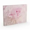 Flash Sale đ Silver Orchid Cora Niele's 'Peony Macro' Gallery Wrapped Canvas ⨠1 Flash Sale đ Silver Orchid Cora Niele's 'Peony Macro' Gallery Wrapped Canvas ⨠-Silver Orchid Shop unnamed file 4850